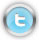 Twitter Icon
