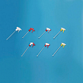 Bottles