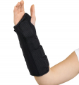 Forearm & Hand