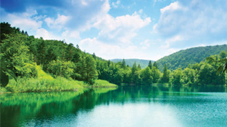 Environmental Sustainability