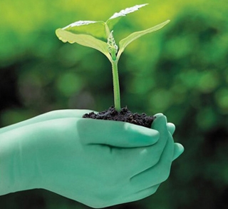 Greensmartâ„¢ Program For Healthcare