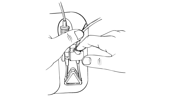 Step 5