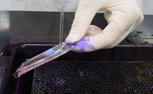 Azer Scientific Gram Stain Reagent, Decolorizer | Medline