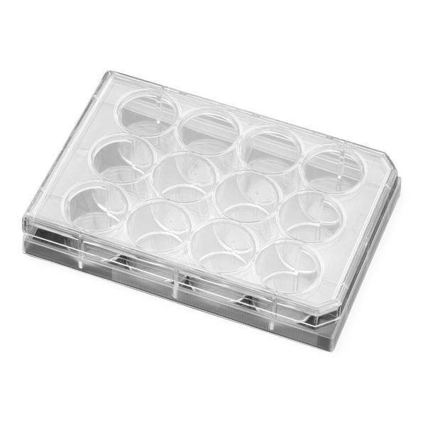 Falcon Permeable Support Companion Plates for Cell Culture Insert