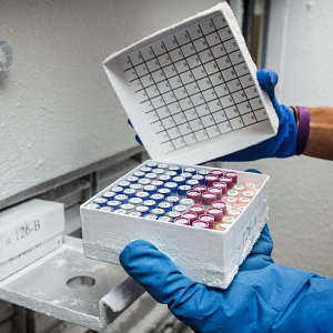 パットPatMcGrath FreezerBondz Cryogenic Polyester Labels | Medline