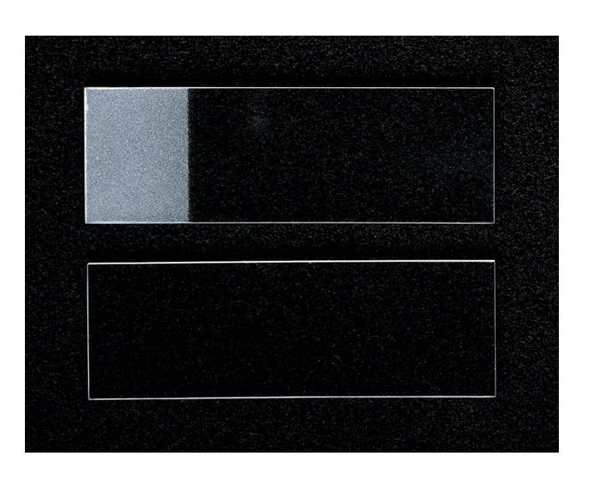 Economy Nonselect Microscope Slides | Medline