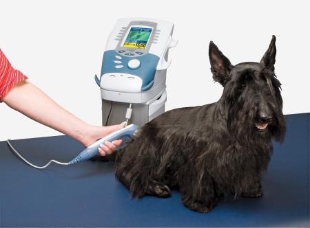 Intelect Vet E-stim, Ultrasound and Laser Therapy | Medline