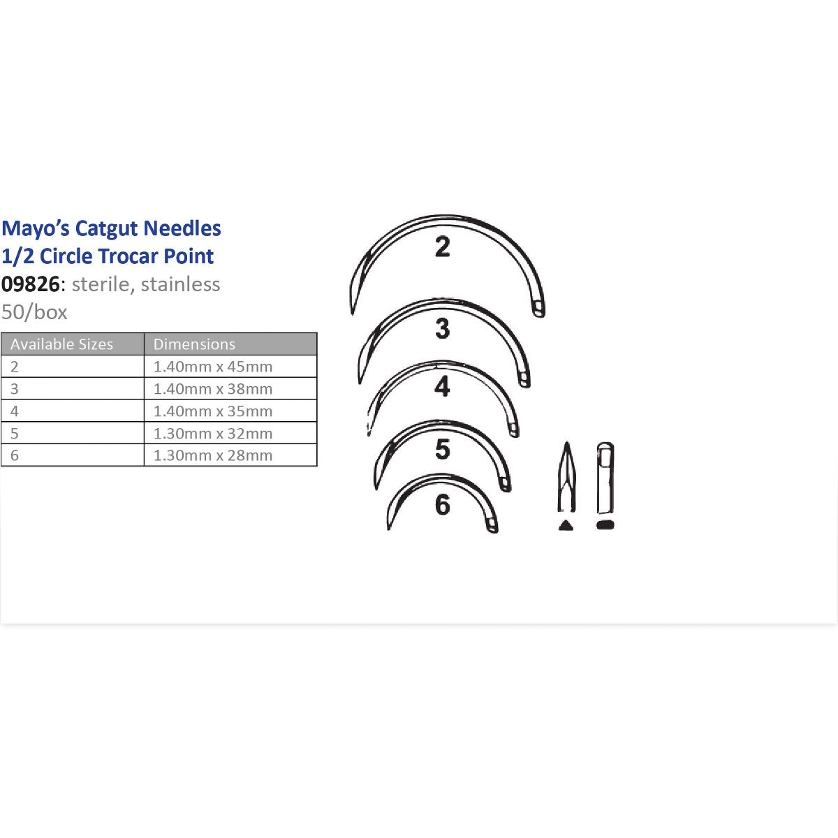 Mayo専用ページ D1200012960662_020520240712.jpg