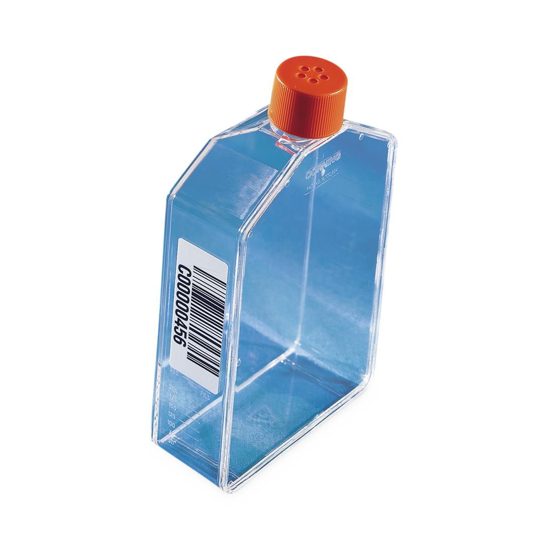 Falcon Rectangular Cell Culture Flasks | Medline