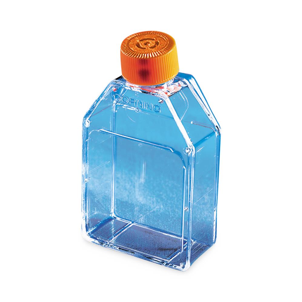 Falcon Rectangular Cell Culture Flasks | Medline