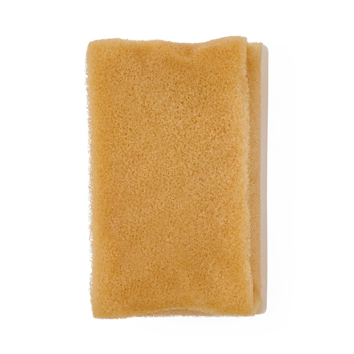 Scrubland 1枚 Medline Chloroxylenol Surgical Scrub Brushes | Medline