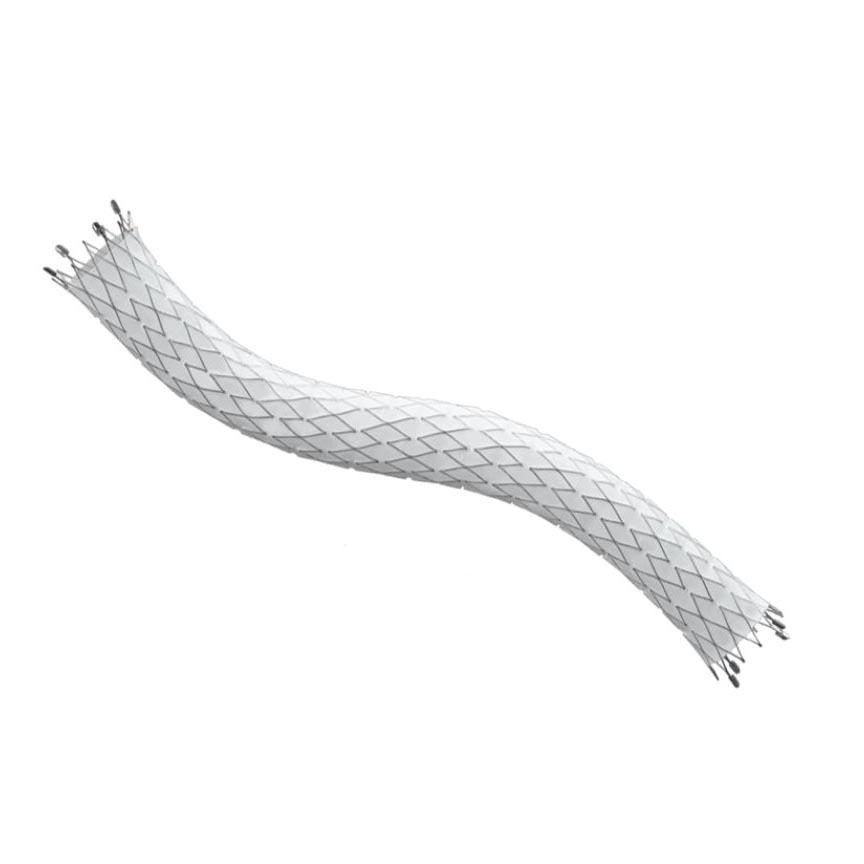 FLUENCY Plus Endovascular Stents | Medline