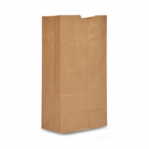 Brown Grocery Bags | Medline