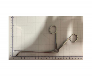 PERISOREUS INTERNIGRANS 一部欠品有 Sichuan jay - Wikipedia