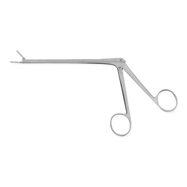 PERISOREUS INTERNIGRANS 一部欠品有 Sichuan jay - Wikipedia