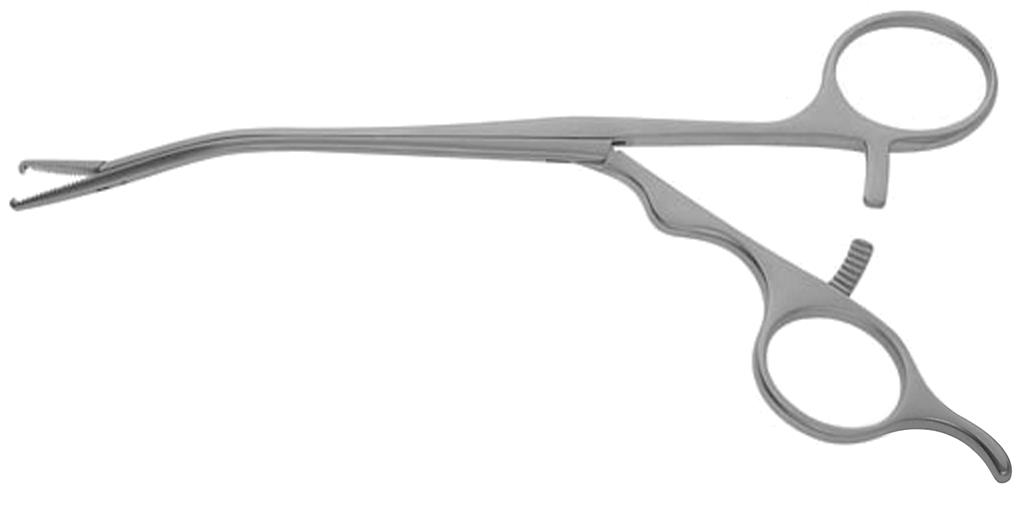 Hofmannsthal Christoph Konig 洋書 Hofmannsthal Christoph