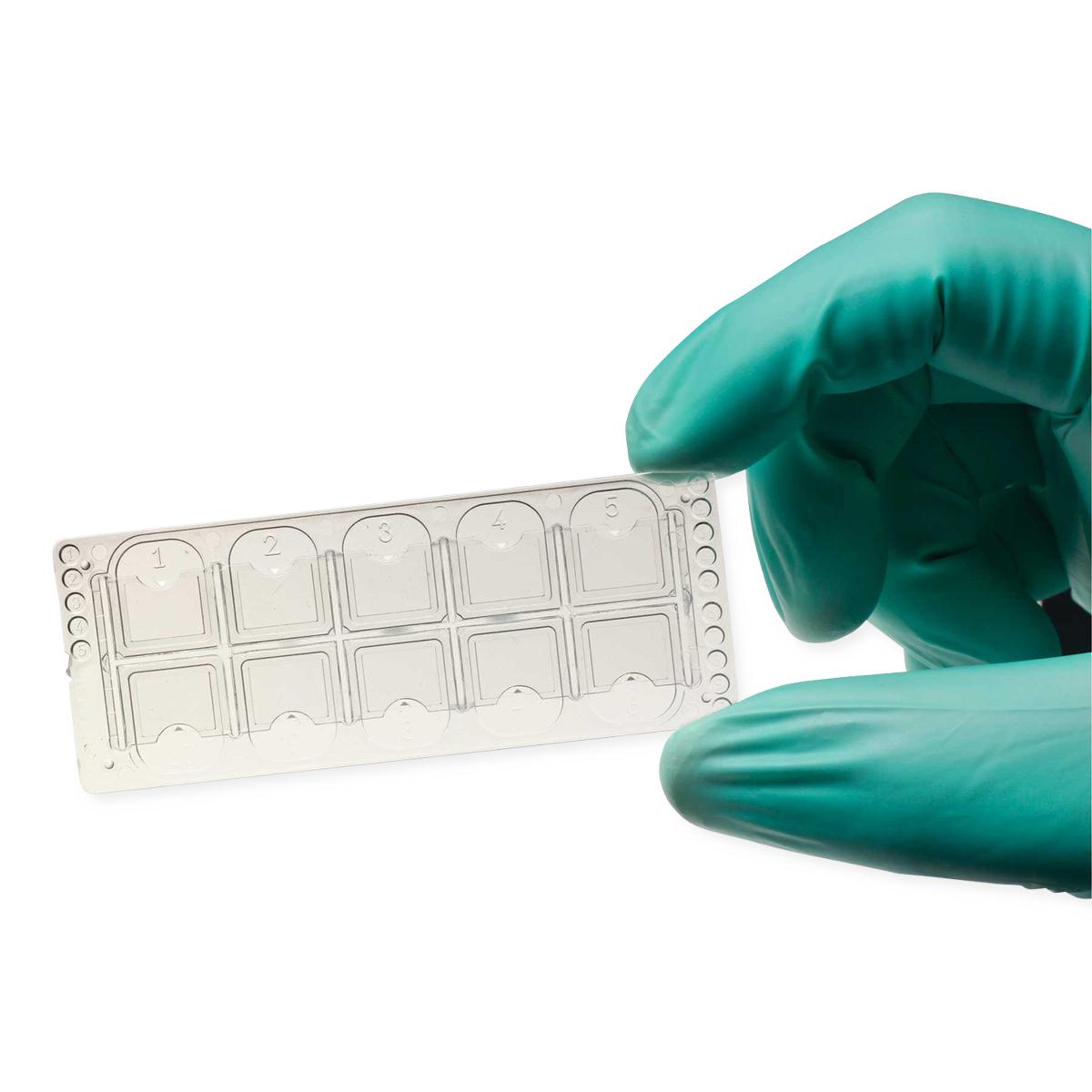 Mark Quick Read Cell Urinalysis Slide | Medline