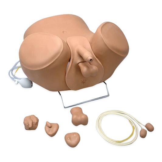 ZACK Multipurpose Male Lower Torso Simulator | Medline