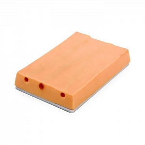 Phlebotomy Task Trainer | Medline