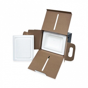 Insulated Containers | Medline