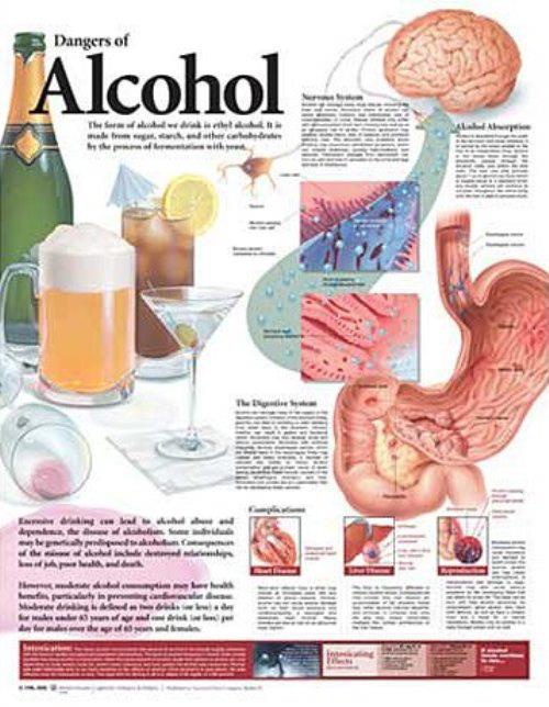 Dangers of Alcohol Chart | Medline