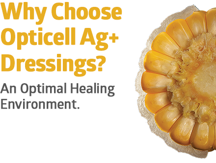 opticell_02b