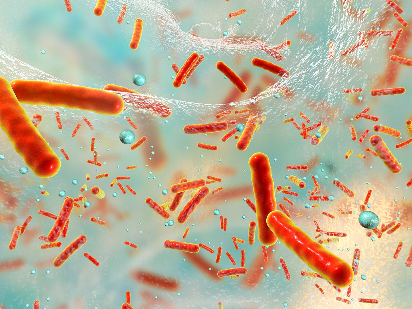 115773_BioFilm_Yang_lg Close-up representation of bacterial biofilm.