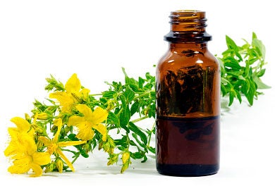 St. John’s wort flower and small bottle of oil. St. John’s wort flower and small bottle of oil.