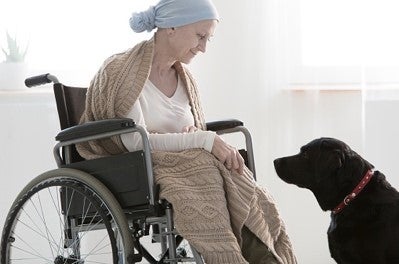 Older woman in wheelchair bonding with dog.