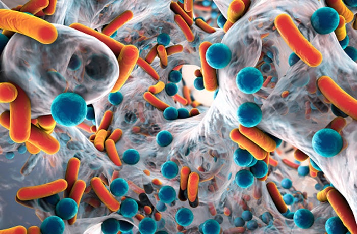 STK_Biofilm_RGB