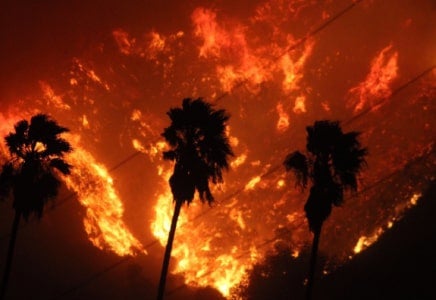 Image depicting Ventura County Healthcare System’s disaster preparedness and work more efficiently case study Wildfire surrounding palm trees