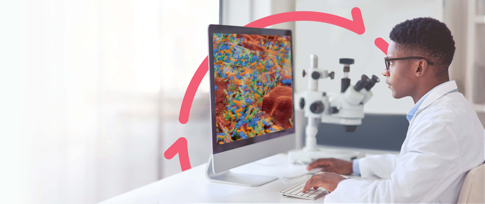 biofilm-mb-banner