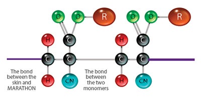 OTH_Marathon-Molecule-diagrams-2