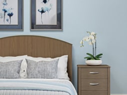 Private patient room with pale blue walls , 2 botanical prints, and light walnut headboard frame and bedside chest Illustration of three grey tubes of lotion with a blue pie chart behind them