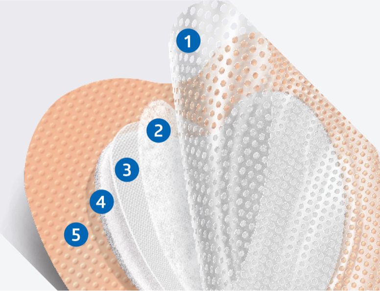 Explore products to manage exudate and moisture Medline